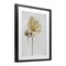 Stupell Industries Simple Beauty Soft Flower Framed Print Under Glass, design by Lori Deiter